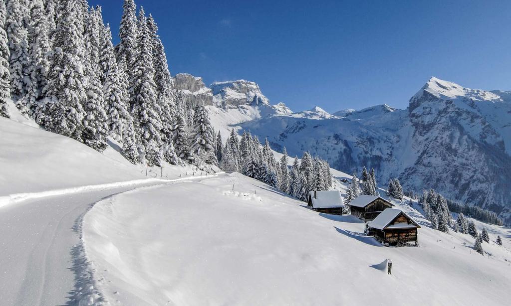 Отель Alpenclub Энгельберг Экстерьер фото
